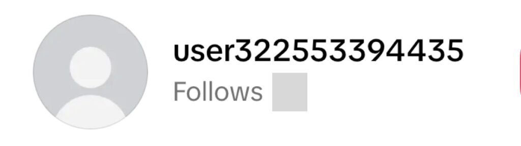 banned user on tiktok